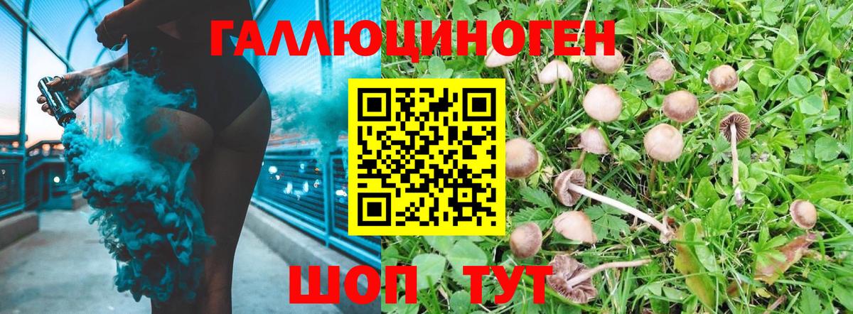 Галлюциногенные грибы Cubensis  Галлюциногенные грибы Magic Shrooms  Старая Купавна  купить   Вход с VPN 